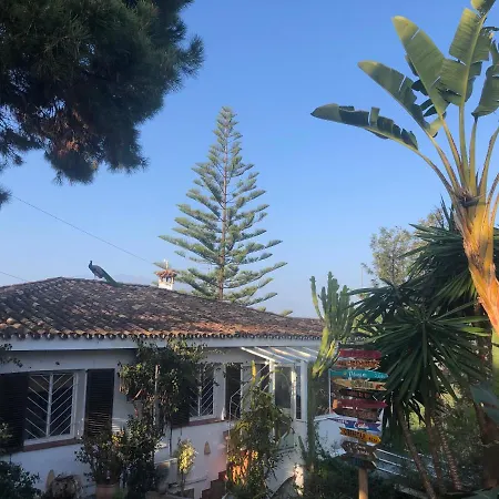 בית הארחה Casa Simba (adults Only) אסטפונה