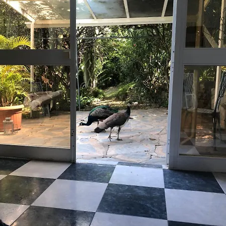 Casa Simba (adults Only) בית הארחה