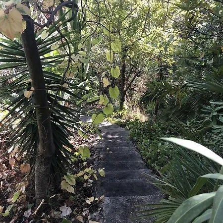 Casa Simba (adults Only) אסטפונה