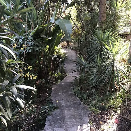 Casa Simba (adults Only) אסטפונה