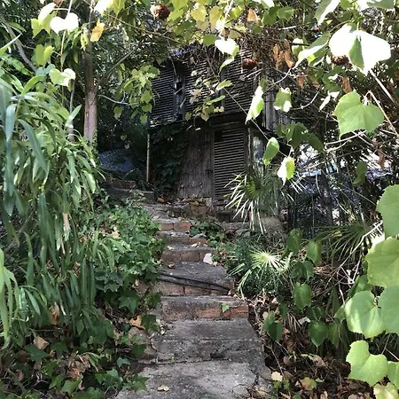 בית הארחה Casa Simba (adults Only) אסטפונה