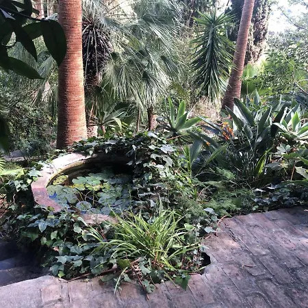 Casa Simba (adults Only) 4* אסטפונה