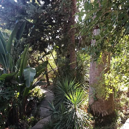 Casa Simba (adults Only) 4* אסטפונה