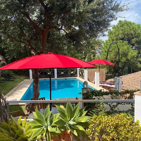 Casa Simba (adults Only) בית הארחה 4*