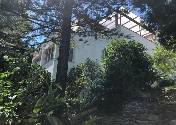 Pensión Casa Simba (adults Only) 4*