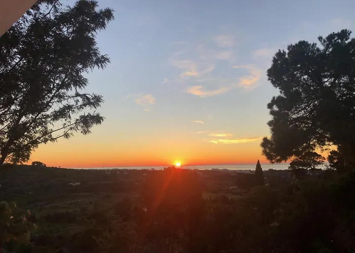 Pensión Casa Simba (adults Only) Estepona