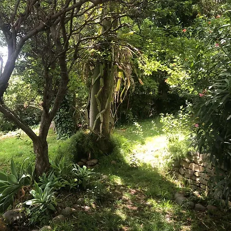 Casa Simba (adults Only) *