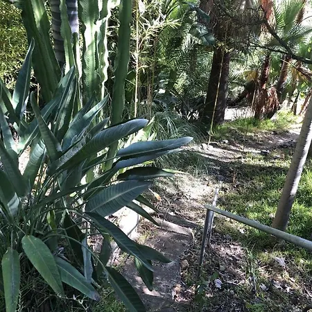 Casa Simba (adults Only) Pensjonat
