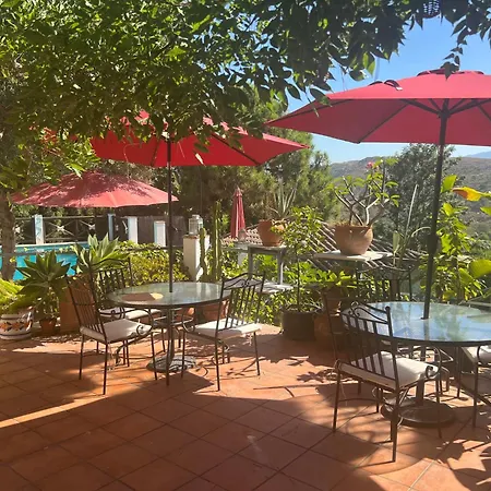 Casa Simba (adults Only) Pensionat 4*