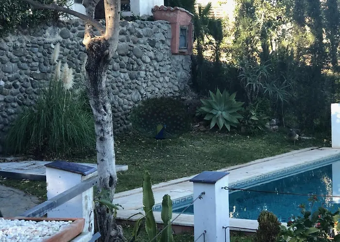 Pensionat Casa Simba (adults Only)